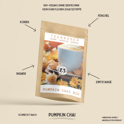 Chai Pumpkin BIO | Milde Fruchtmischung | 50-100g