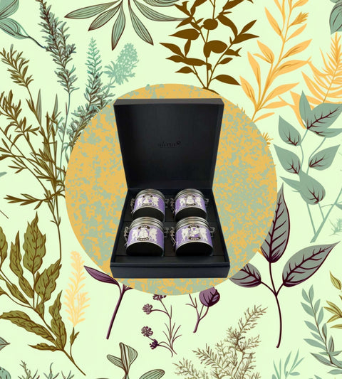 Herbal BIO Geschenkbox | Herbal von Alveus | (4 Dosen)