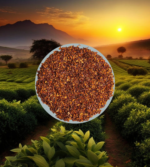 Rooibos Natur | Rooibos & Honeybush | 50-200g