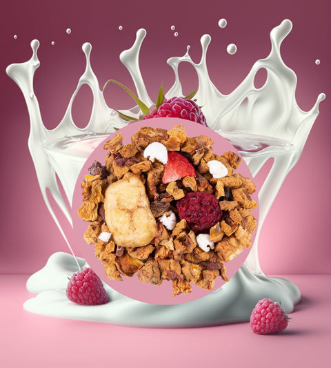 Milder Kindertee BIO | Milde Fruchtmischung | 50-100g