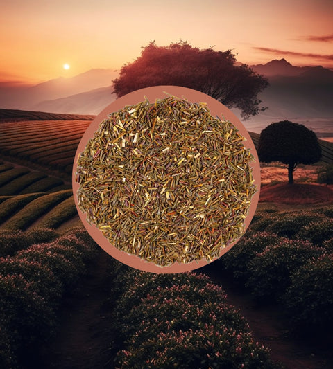 Grüner Rooibos Natur BIO | Rooibos & Honeybush | 50-200g